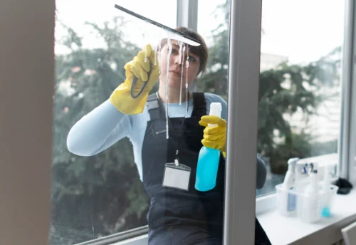 Nettoyage de vitres intérieures et extérieures à Latronche